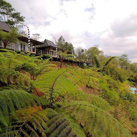Отель The Bejalin Eco Retreat Plaga Экстерьер фото